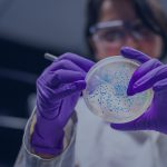 bacteriologisch onderzoek