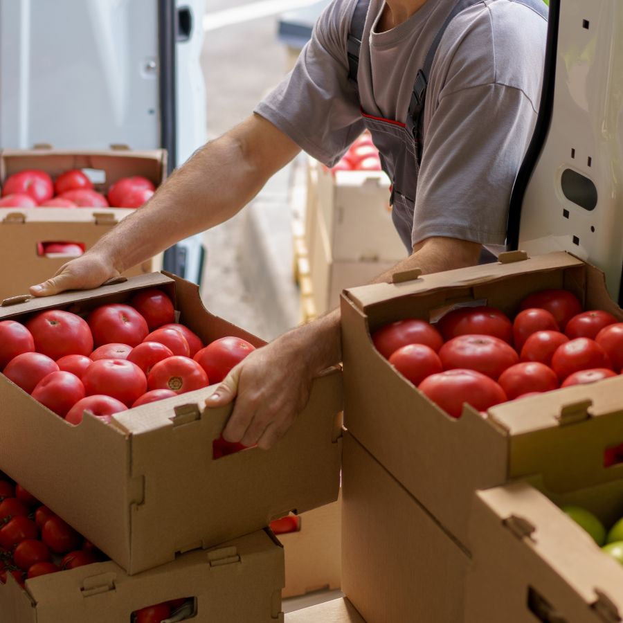 Leverancier groenteboer